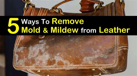 how to clean mold from bags